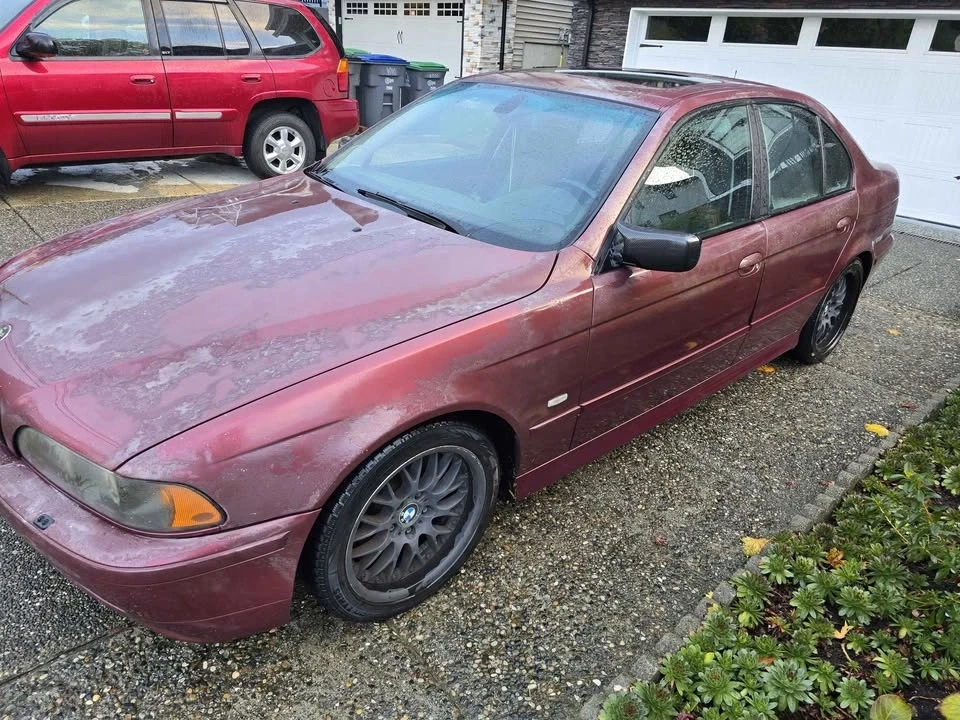 2002 BMW E39 5 Series - Image 2 of 15
