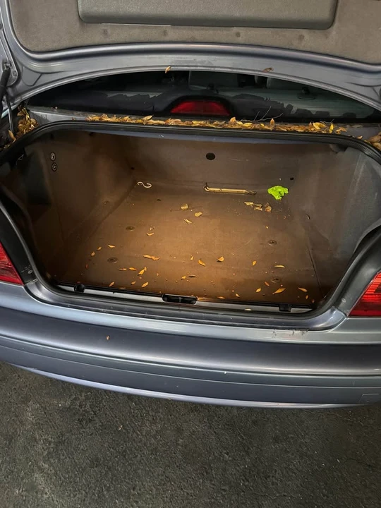 2002 BMW E39 5 Series - Image 3 of 10