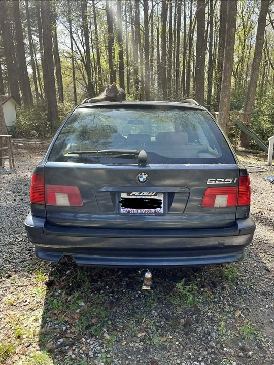 2002 BMW E39 5 Series - Image 4 of 10