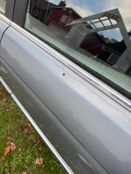 2002 BMW E39 5 Series - Image 10 of 10