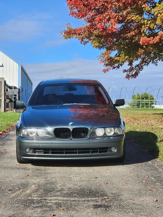 2002 BMW E39 5 Series - Image 6 of 31