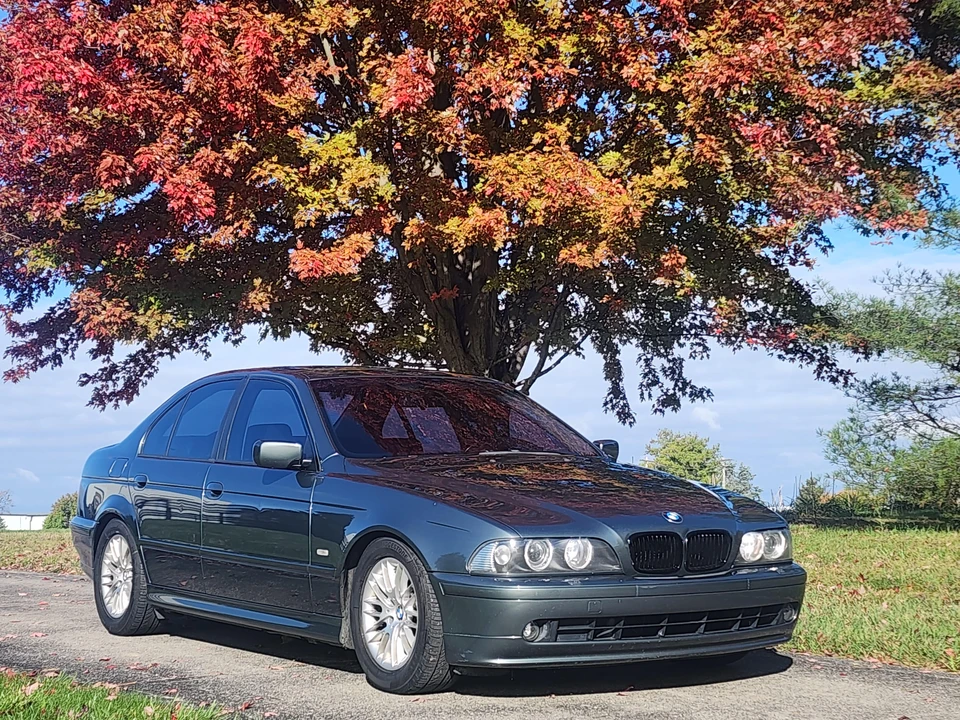 2002 BMW E39 5 Series - Image 31 of 31