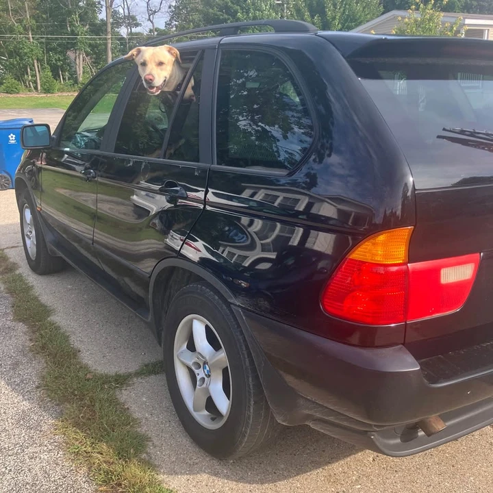 2002 BMW E53 X5 - Image 5 of 6