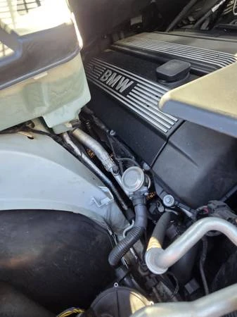 2002 BMW E53 X5 - Image 14 of 21