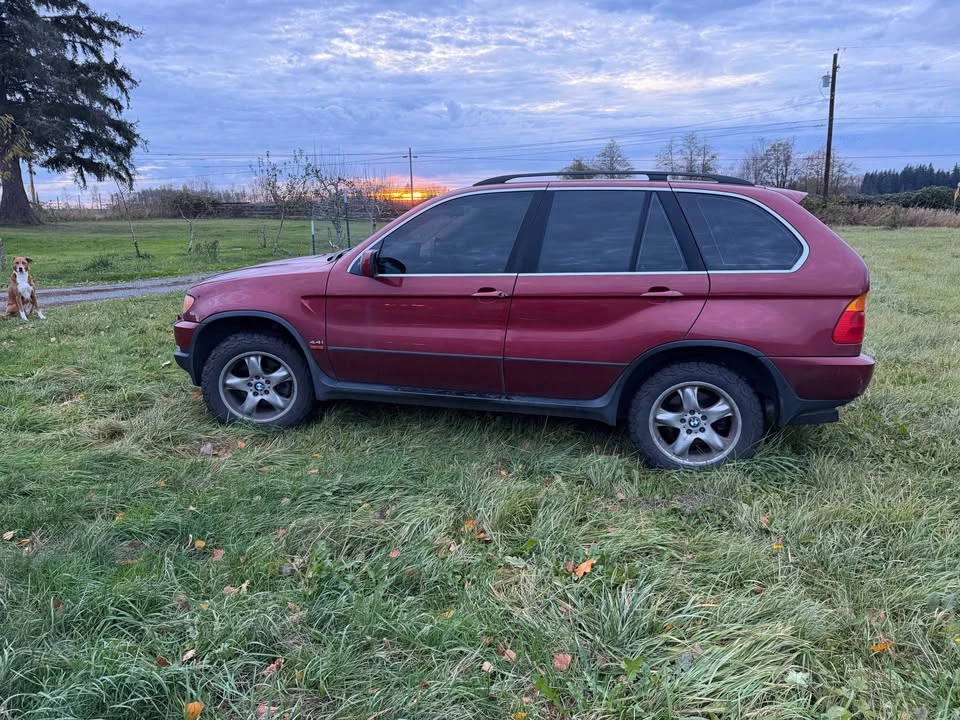 2002 BMW E53 X5 - Image 2 of 7