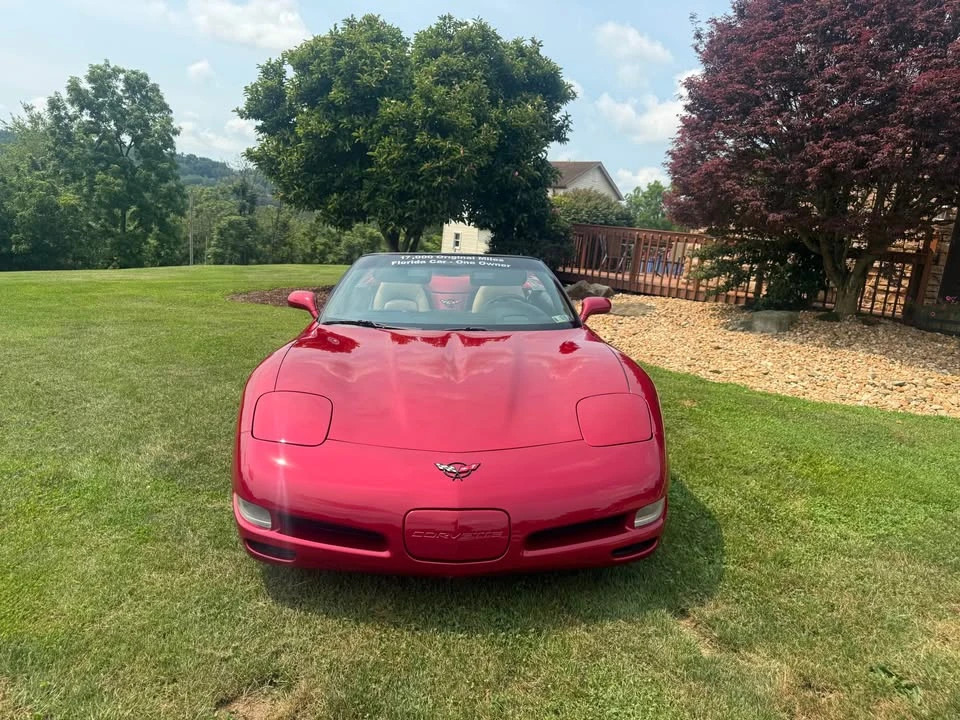 2002 Chevrolet Corvette C5 - Image 8 of 19
