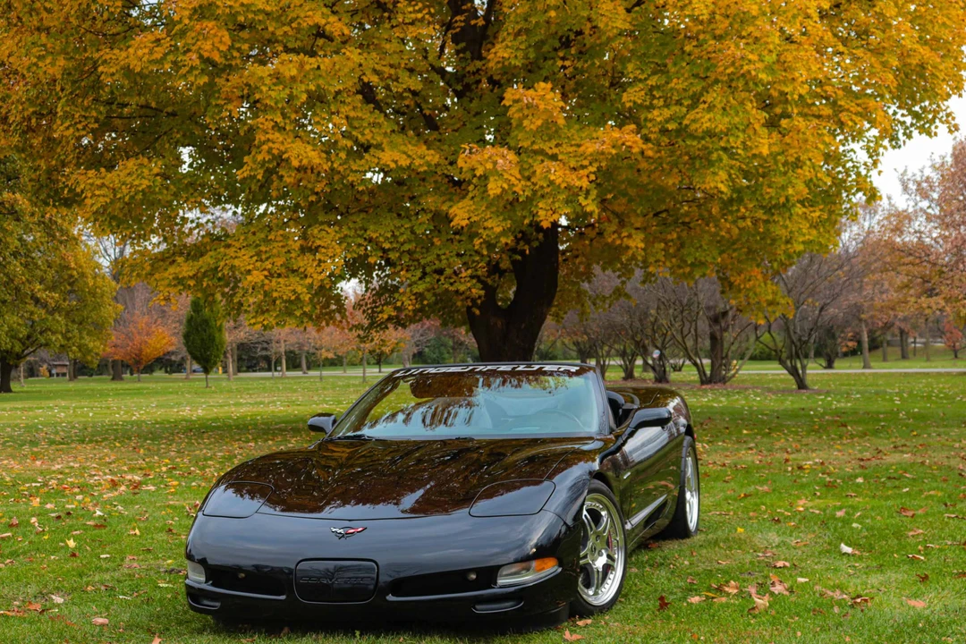 2002 Chevrolet Corvette C5 - Image 16 of 31