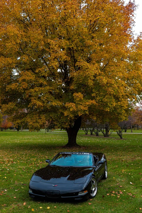 2002 Chevrolet Corvette C5 - Image 17 of 31