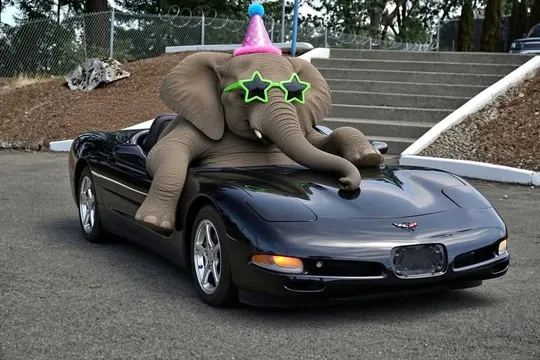 2002 Chevrolet Corvette
