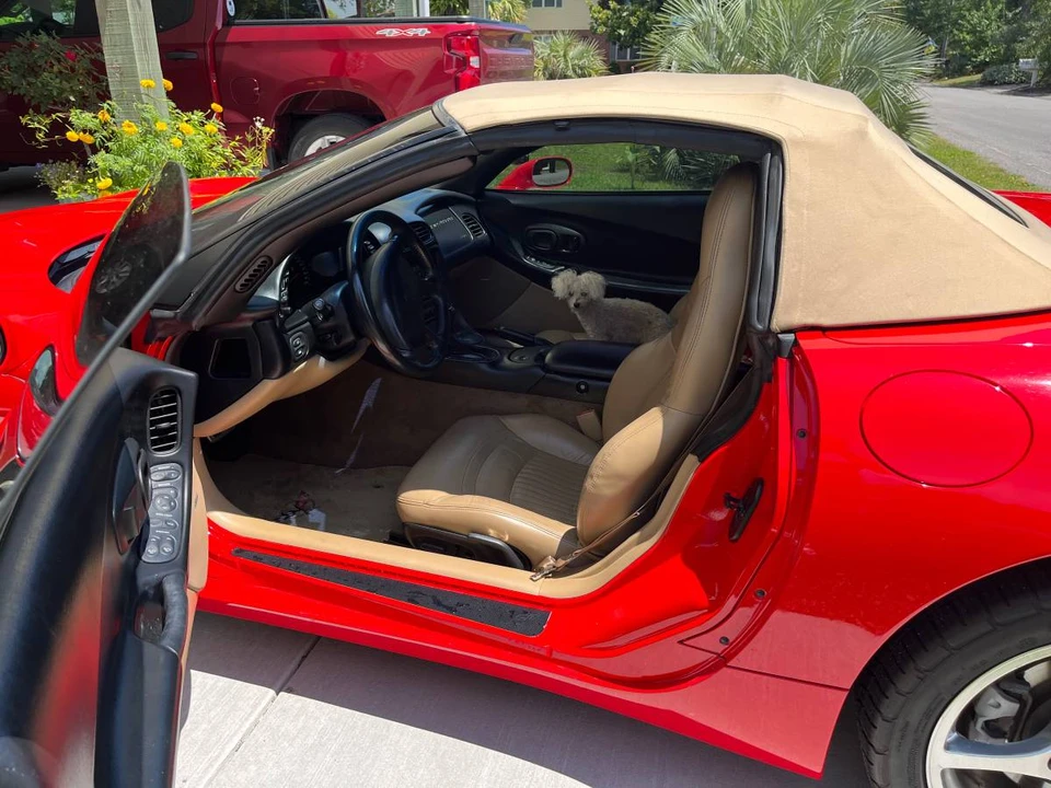 2002 Chevrolet Corvette C5 - Image 2 of 13