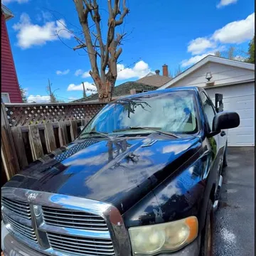2002 Dodge Ram 1500