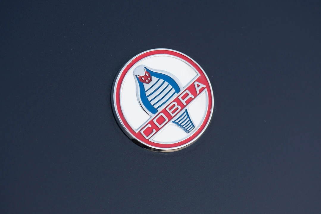 2002 Shelby Cobra Replica - Image 14 of 31