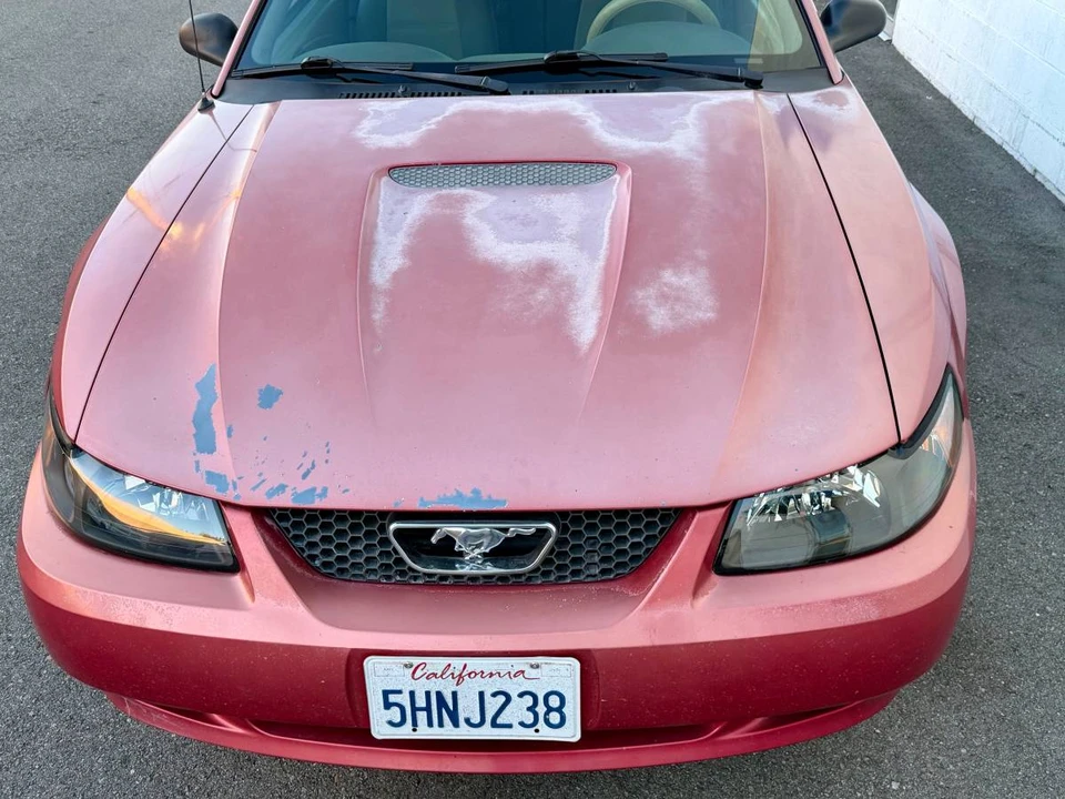 2002 Ford SN95 Mustang - Image 16 of 24
