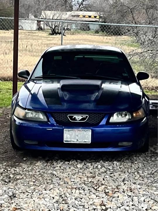 2002 Ford SN95 Mustang - Image 2 of 6