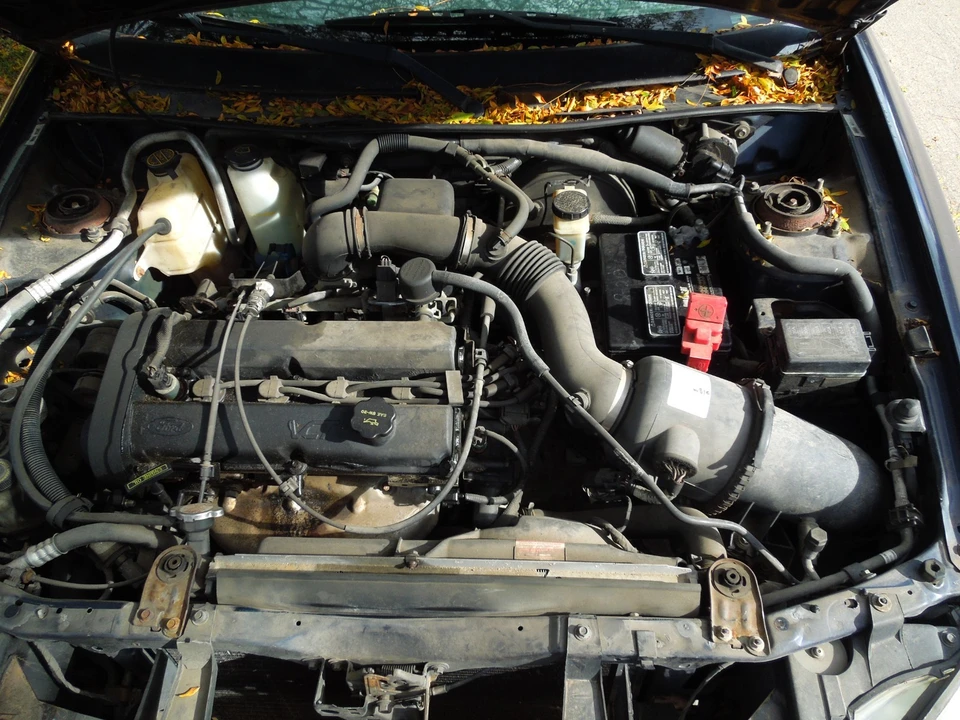 2002 Ford Escort (North America) - Image 10 of 20