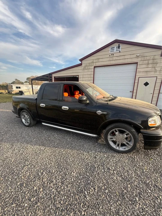 2002 Ford F-150 10th Gen - Image 2 of 4