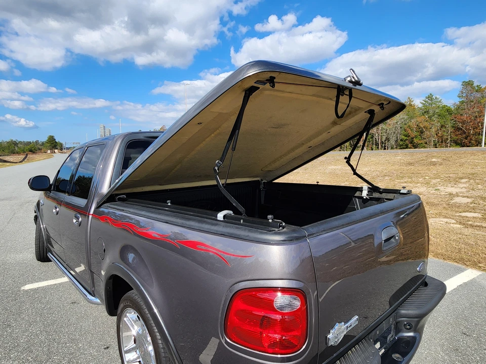 2002 Ford F-150 10th Gen - Image 30 of 31