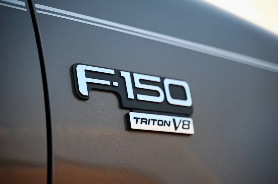 2002 Ford F-150 10th Gen - Image 21 of 31