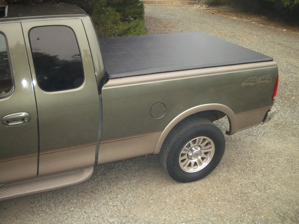 2002 Ford F-150 10th Gen - Image 11 of 31