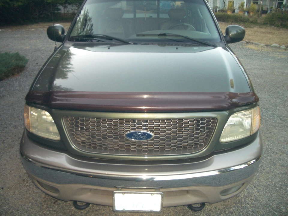 2002 Ford F-150 10th Gen - Image 5 of 31