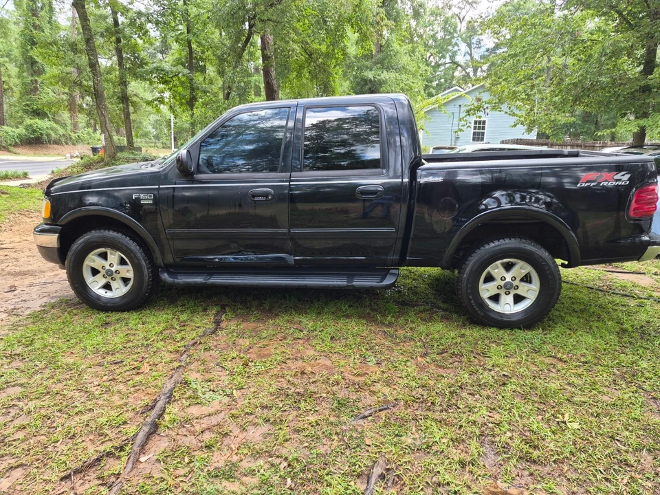 2002 Ford F-150 10th Gen - Image 12 of 12