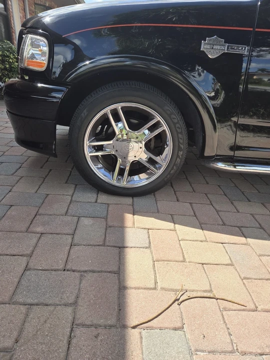 2002 Ford F-150 10th Gen - Image 5 of 13