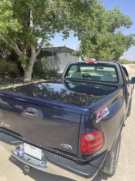 2002 Ford F-150 10th Gen - Image 10 of 18