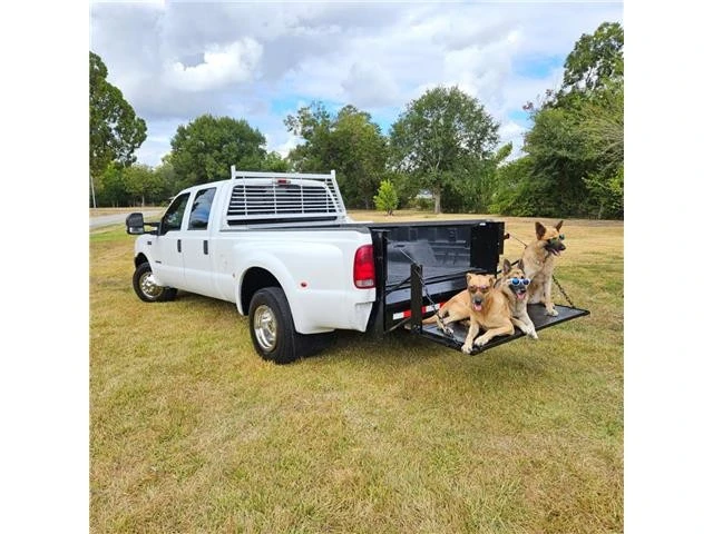 2002 Ford Super Duty 1st Gen - Image 3 of 16