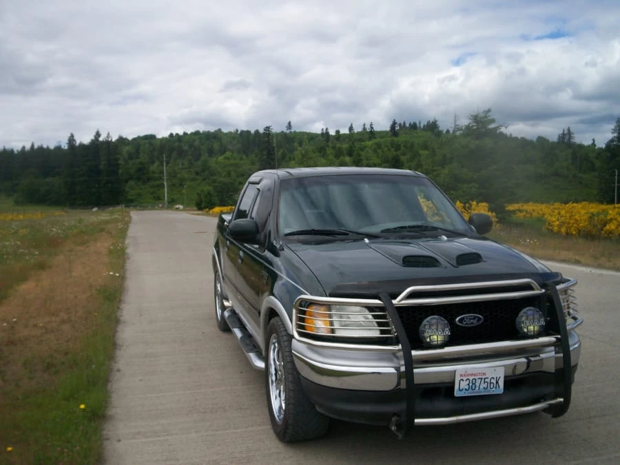 2002 Ford F-150 10th Gen - Image 2 of 2