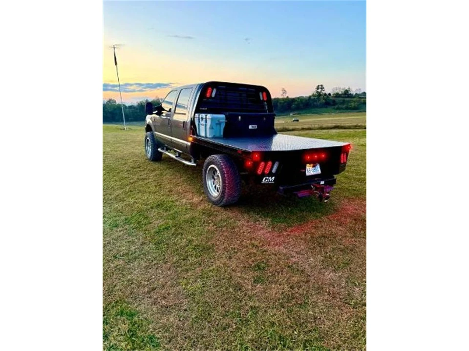 2002 Ford Super Duty 1st Gen - Image 8 of 14