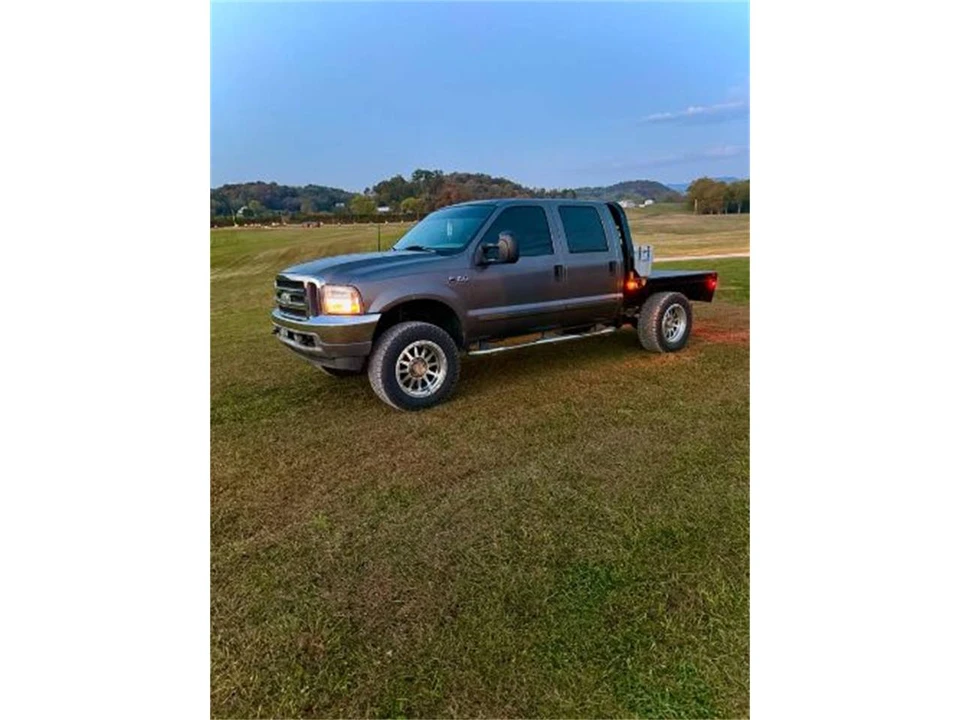 2002 Ford Super Duty 1st Gen - Image 9 of 14