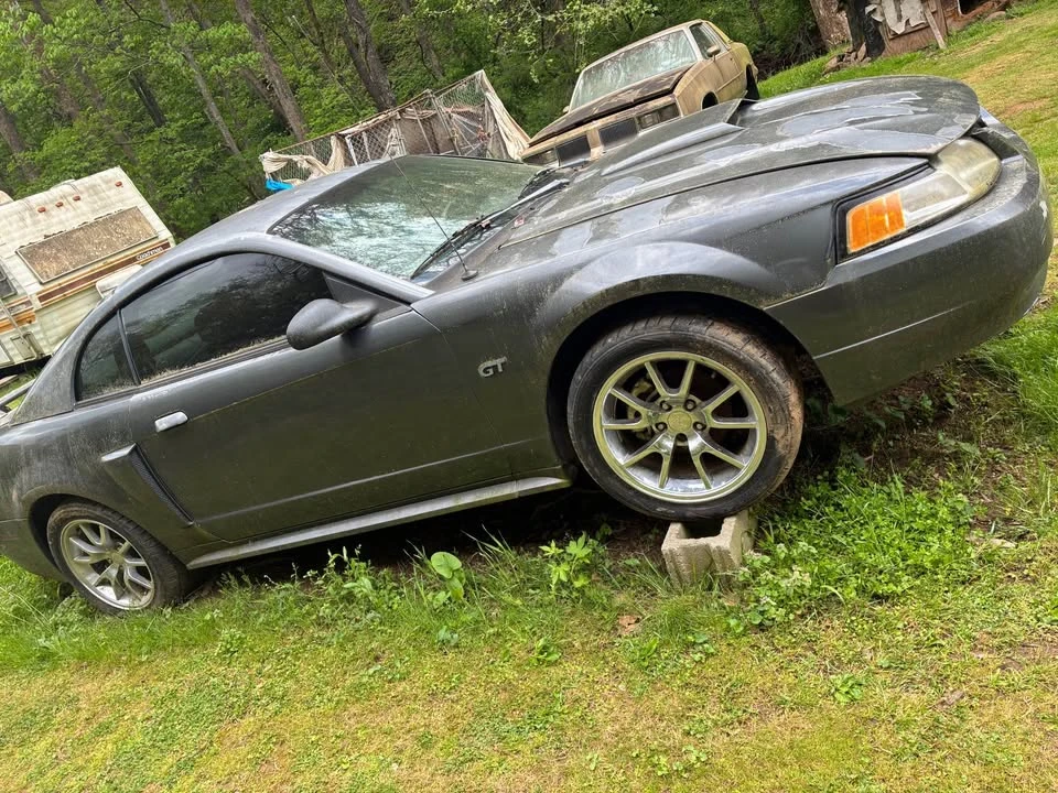 2002 Ford GT - Image 2 of 19
