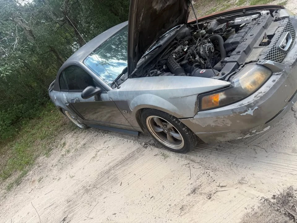 2002 Ford SN95 Mustang - Image 2 of 4