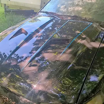 2002 Ford GT