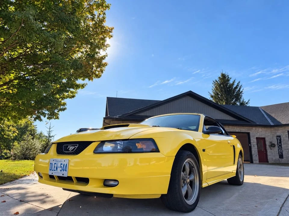 2002 Ford GT - Image 9 of 20