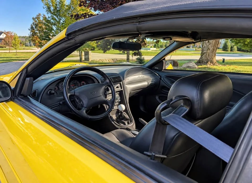 2002 Ford GT - Image 4 of 20