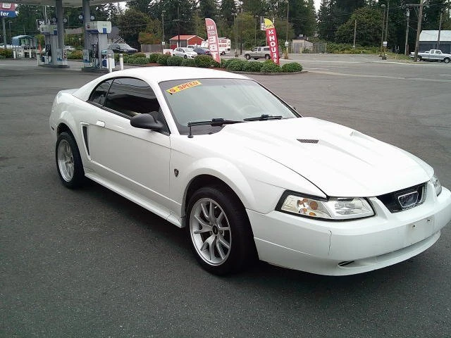 2002 Ford SN95 Mustang - Image 4 of 10