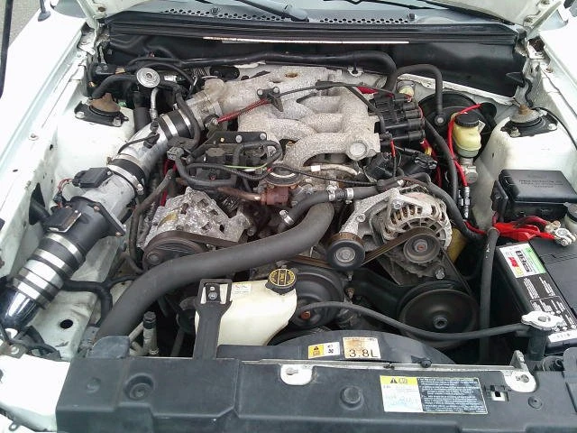 2002 Ford SN95 Mustang - Image 8 of 10