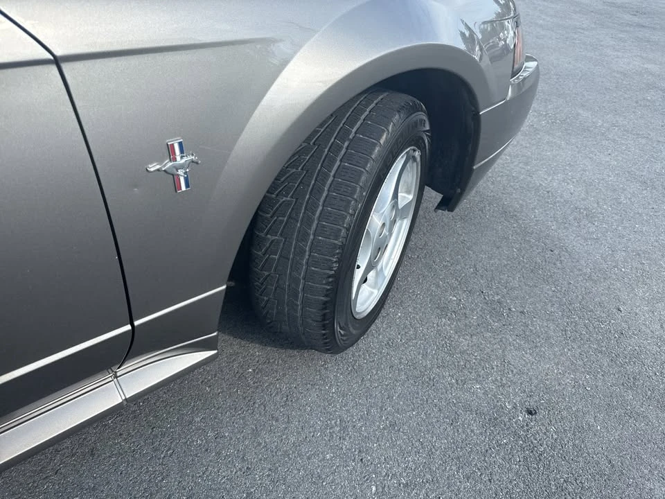 2002 Ford SN95 Mustang - Image 6 of 18