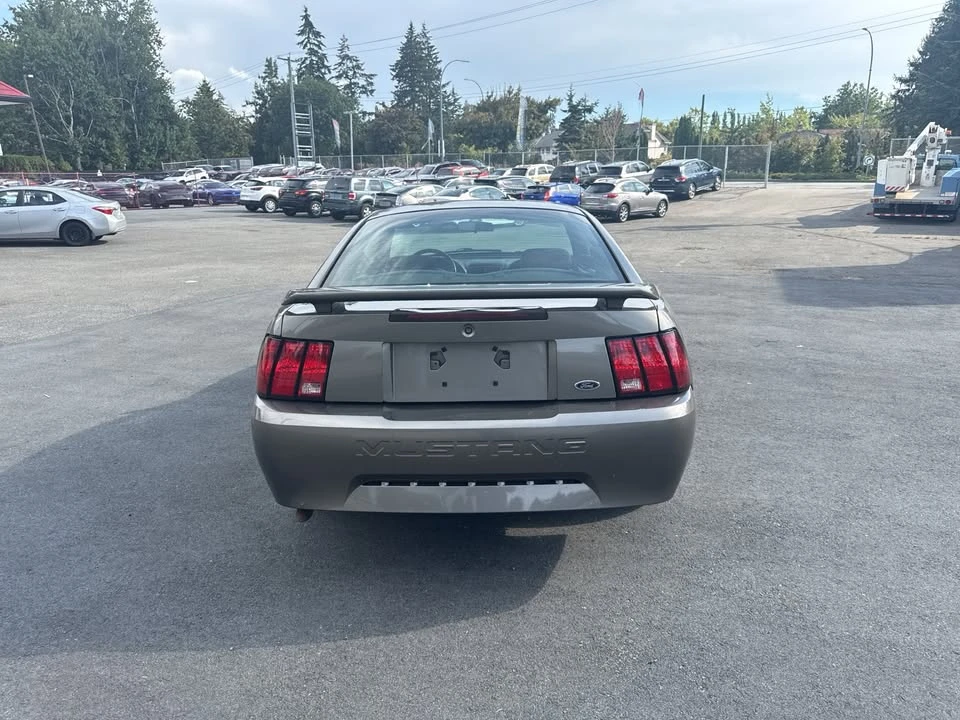 2002 Ford SN95 Mustang - Image 4 of 18