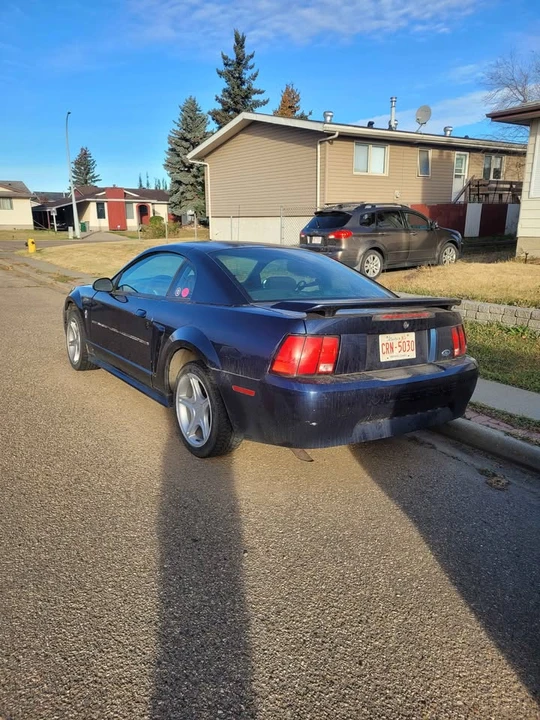 2002 Ford SN95 Mustang - Image 4 of 10