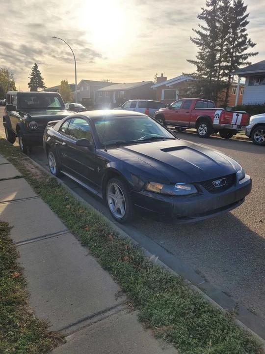 2002 Ford SN95 Mustang - Image 2 of 10