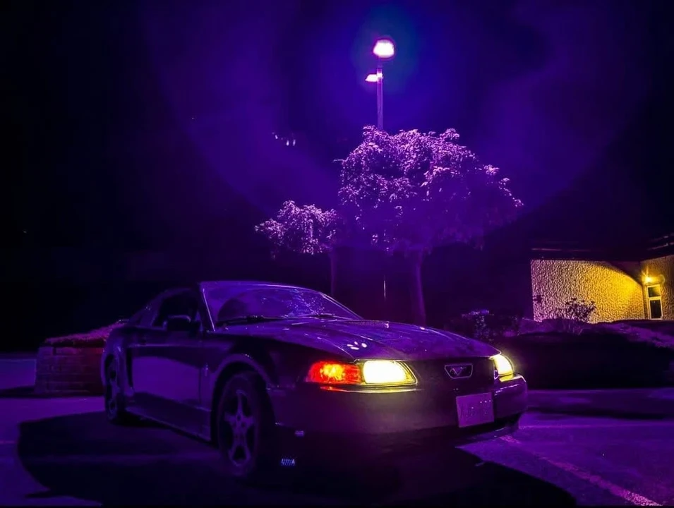 2002 Ford SN95 Mustang - Image 6 of 6