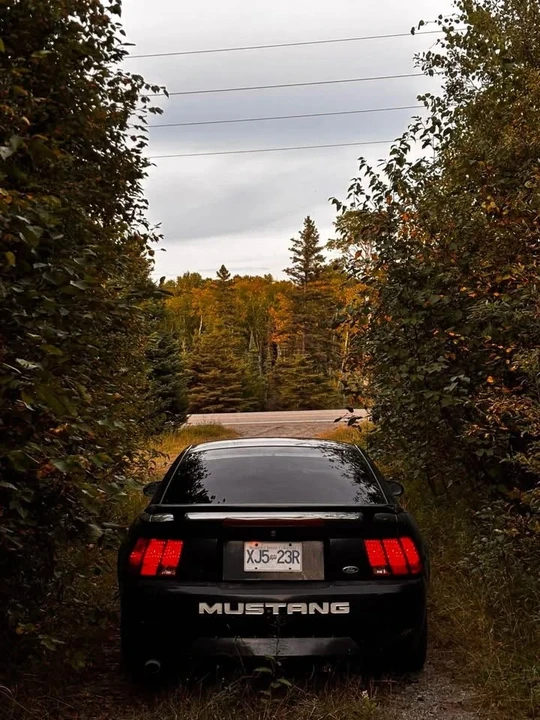 2002 Ford SN95 Mustang - Image 4 of 6