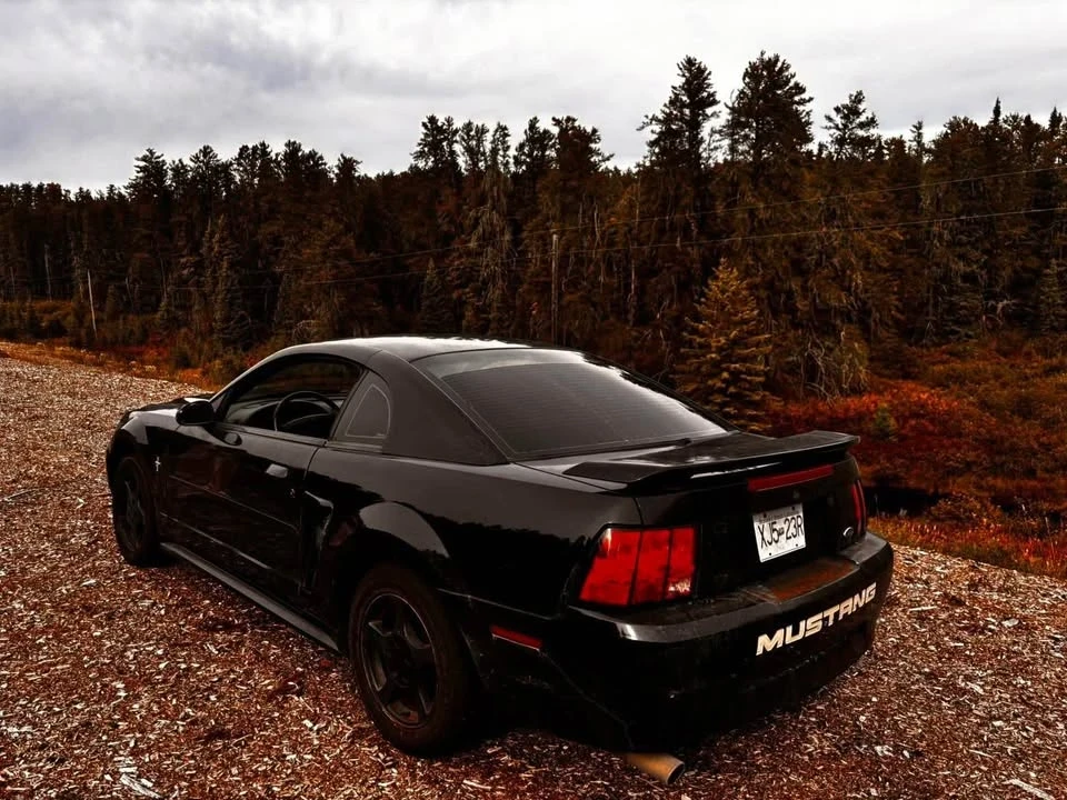 2002 Ford SN95 Mustang - Image 2 of 6