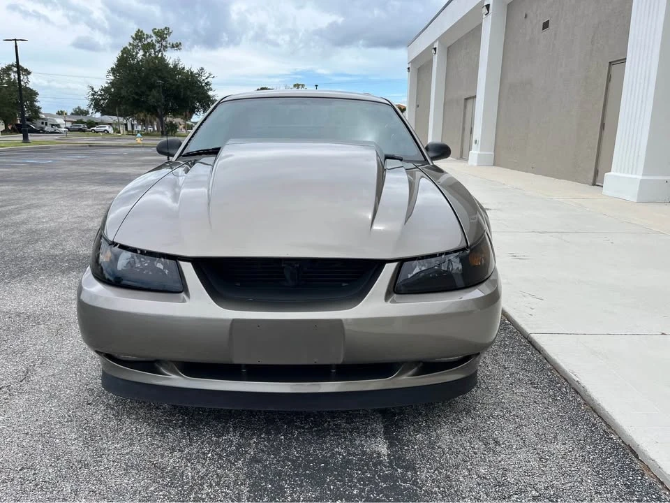 2002 Ford SN95 Mustang - Image 8 of 18