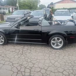 2002 Ford SN95 Mustang - Image 4 of 12