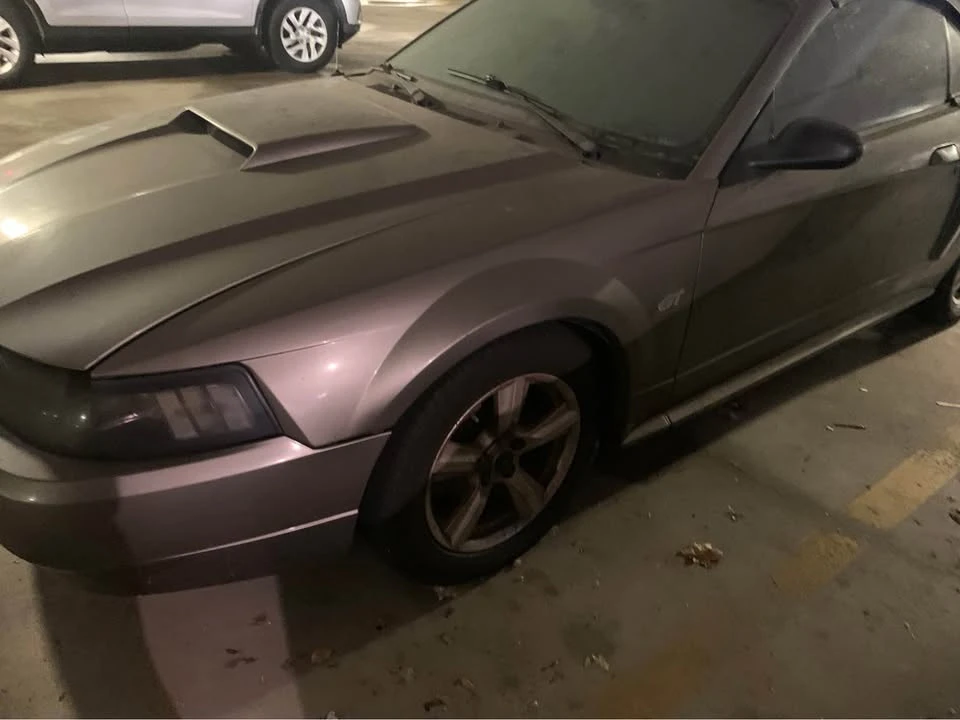 2002 Ford SN95 Mustang - Image 4 of 7