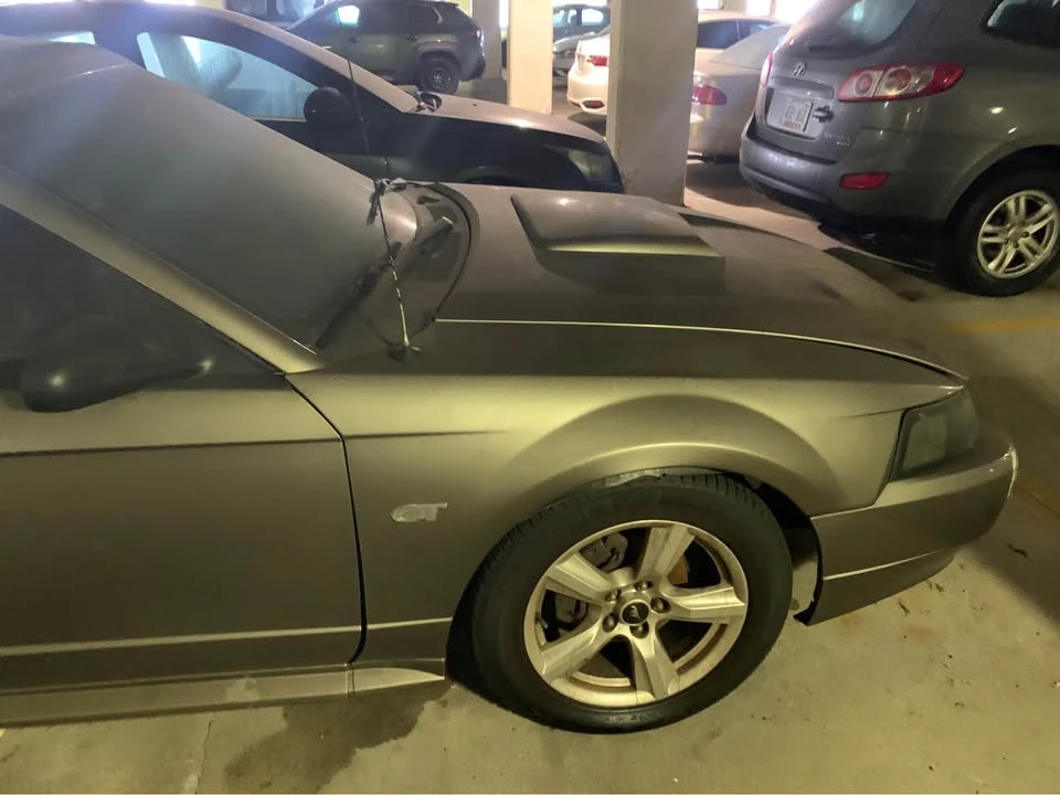 2002 Ford SN95 Mustang - Image 6 of 7