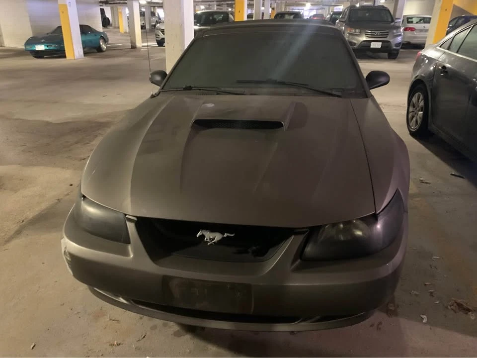 2002 Ford SN95 Mustang - Image 5 of 7